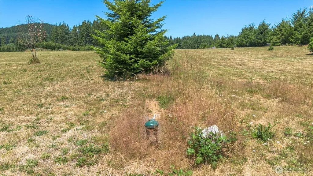 177 Nelson Road Winlock WA 98596