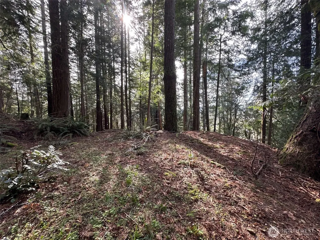 3692 E State Route 106 Union WA 98592