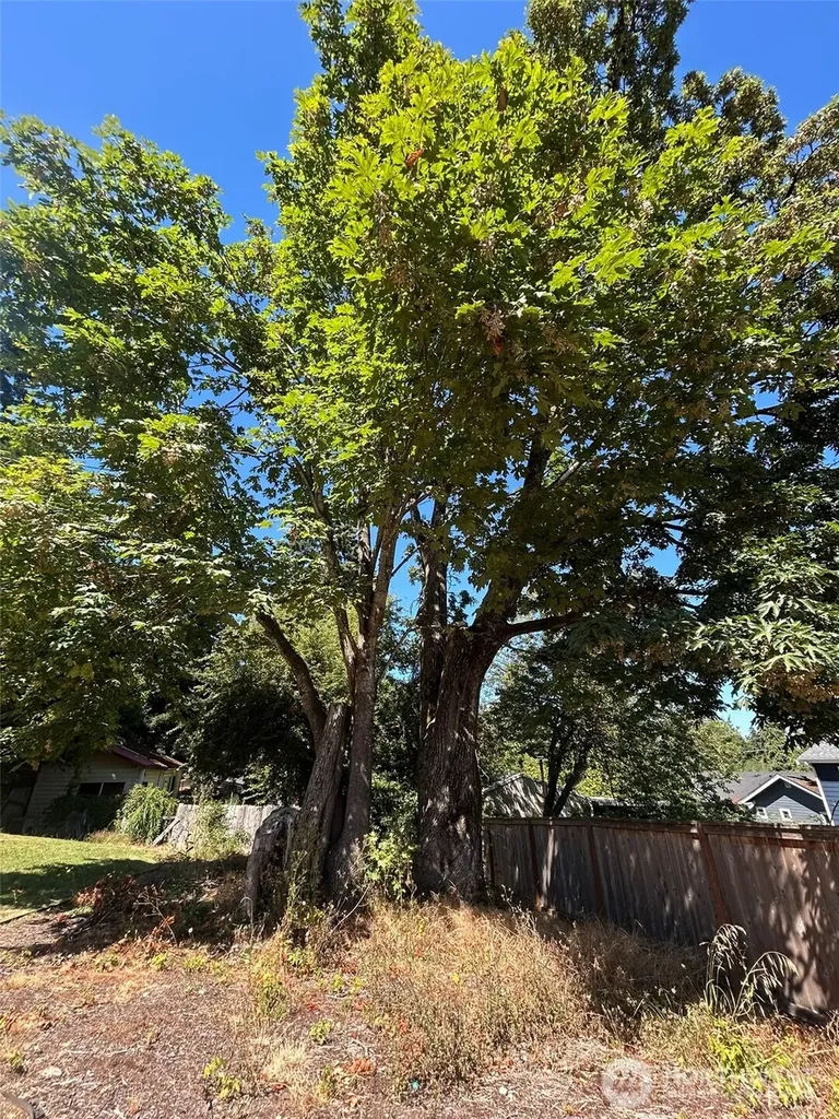 14428 31st Avenue S Seatac WA 98168