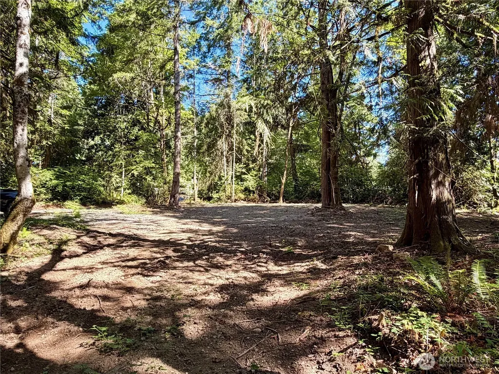 0 E Emily Lane Shelton WA 99584