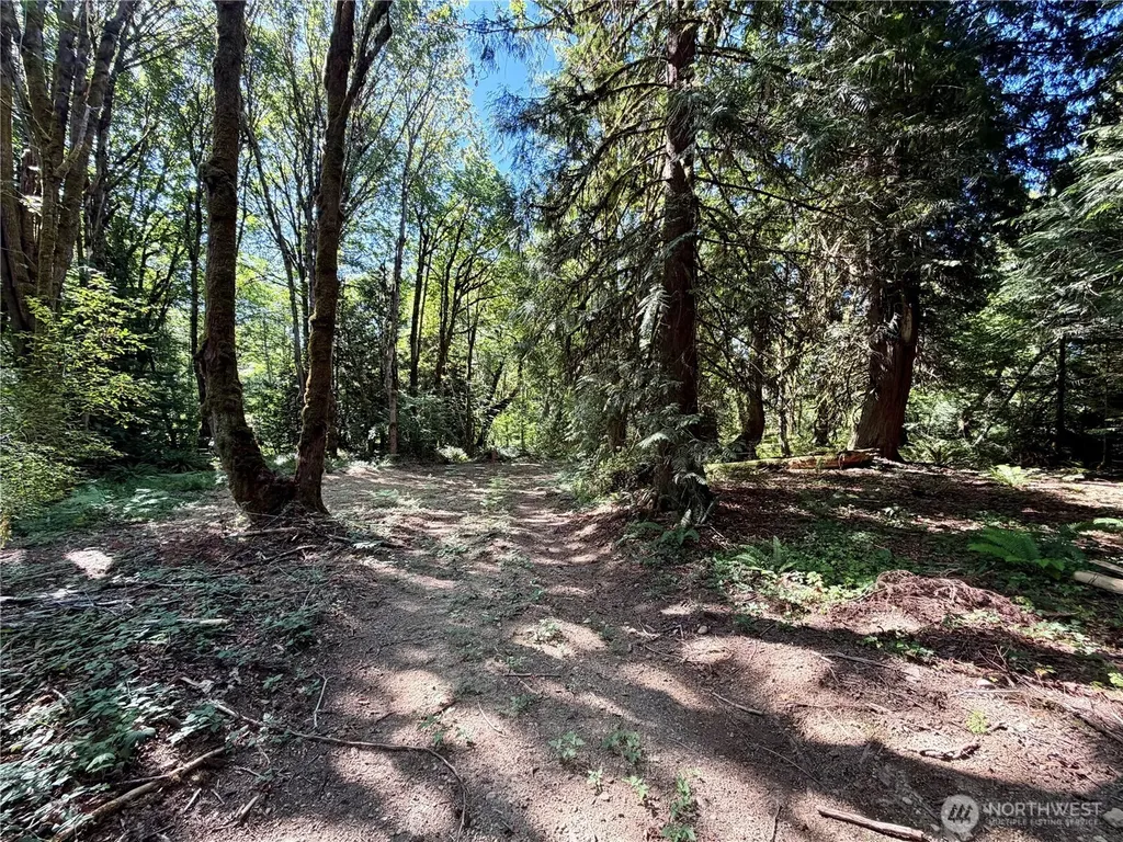 0 E Emily Lane Shelton WA 99584