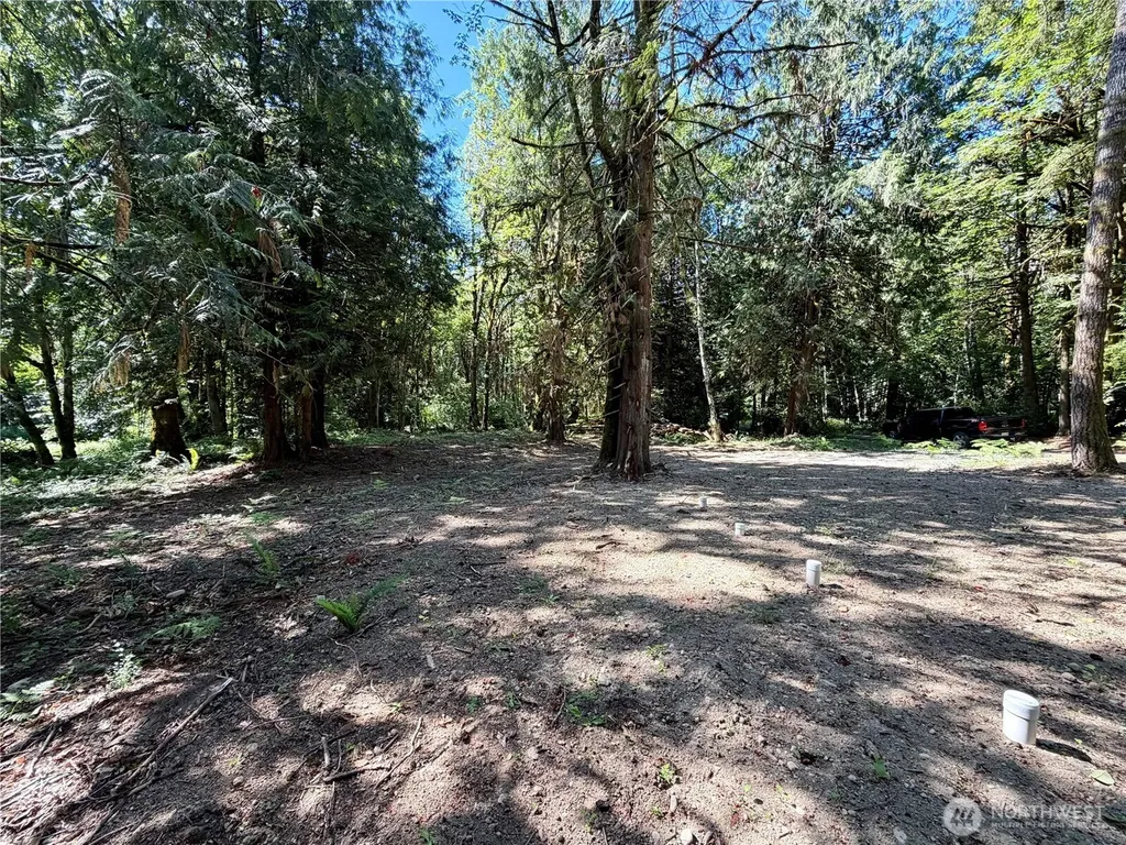 0 E Emily Lane Shelton WA 99584