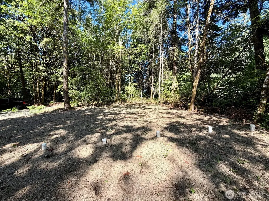 0 E Emily Lane Shelton WA 99584