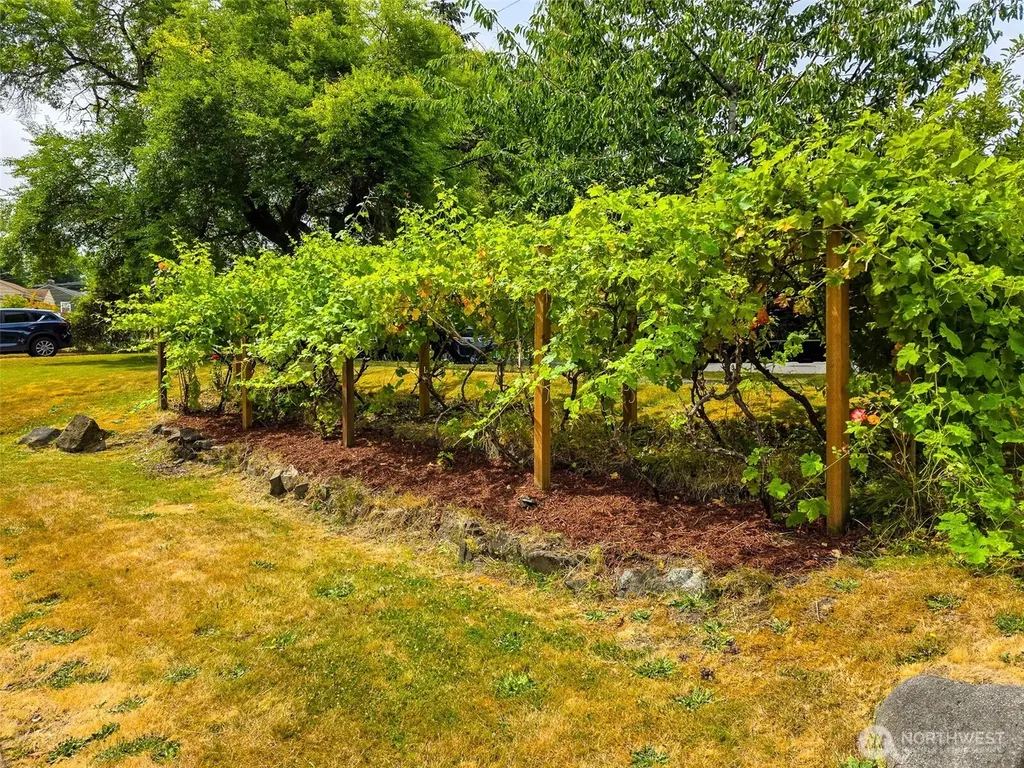 11422 71st Place S Seattle WA 98178