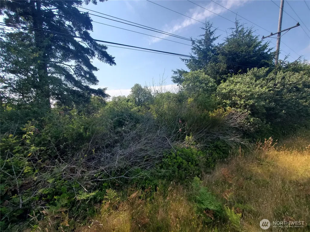 561 Dolphin Avenue NE Ocean Shores WA 98569