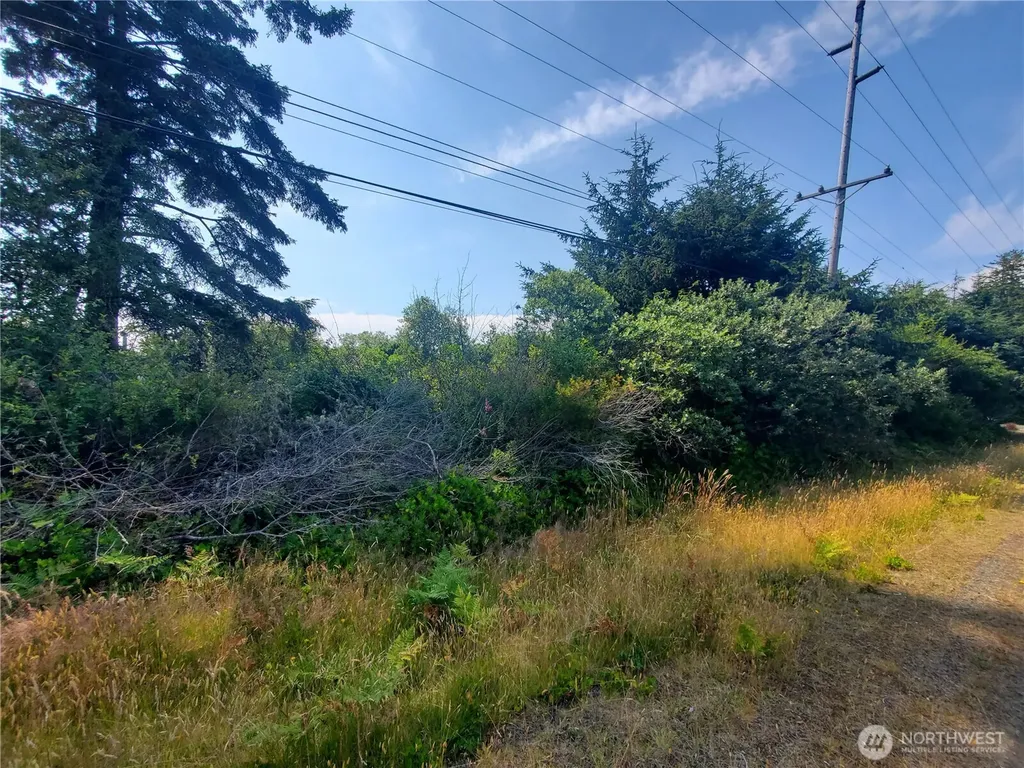 561 Dolphin Avenue NE Ocean Shores WA 98569