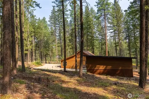 21 Liberty Lane Mazama WA 98862