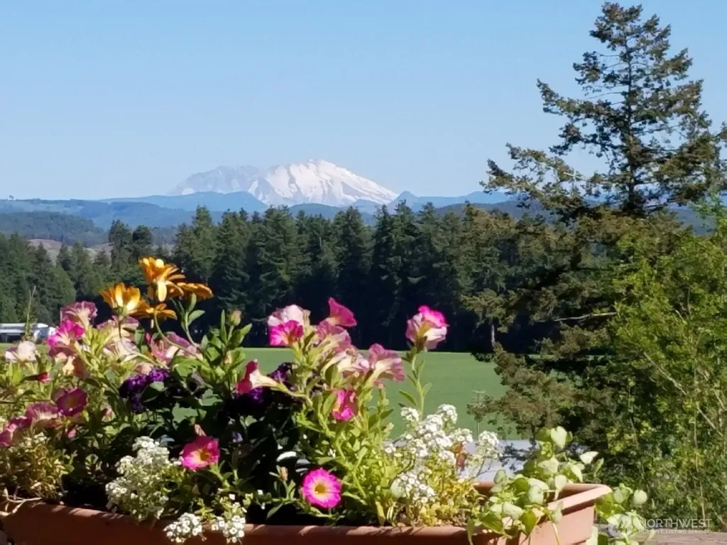 432 Brim Road Onalaska WA 98570