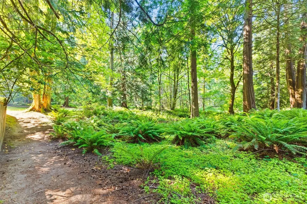 1333 Lowe Bellingham WA 98229