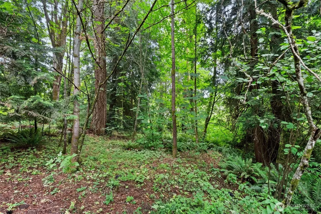 3133 78th Avenue SE Olympia WA 98501