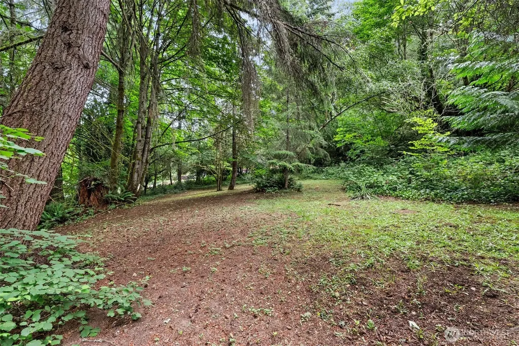 3133 78th Avenue SE Olympia WA 98501