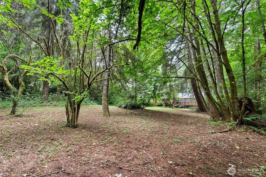3133 78th Avenue SE Olympia WA 98501