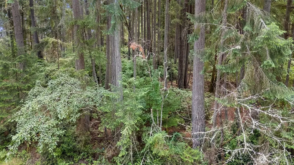 10512 Matthew Anderson Island WA 98303