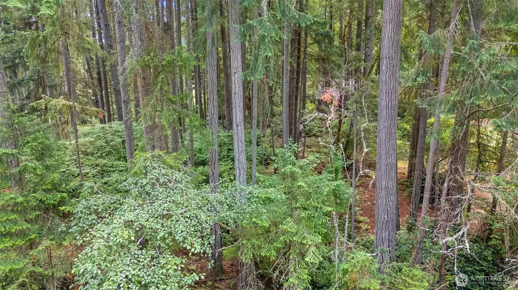 10512 Matthew Anderson Island WA 98303