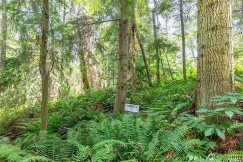 0 Tranquility Place Oak Harbor WA 98277
