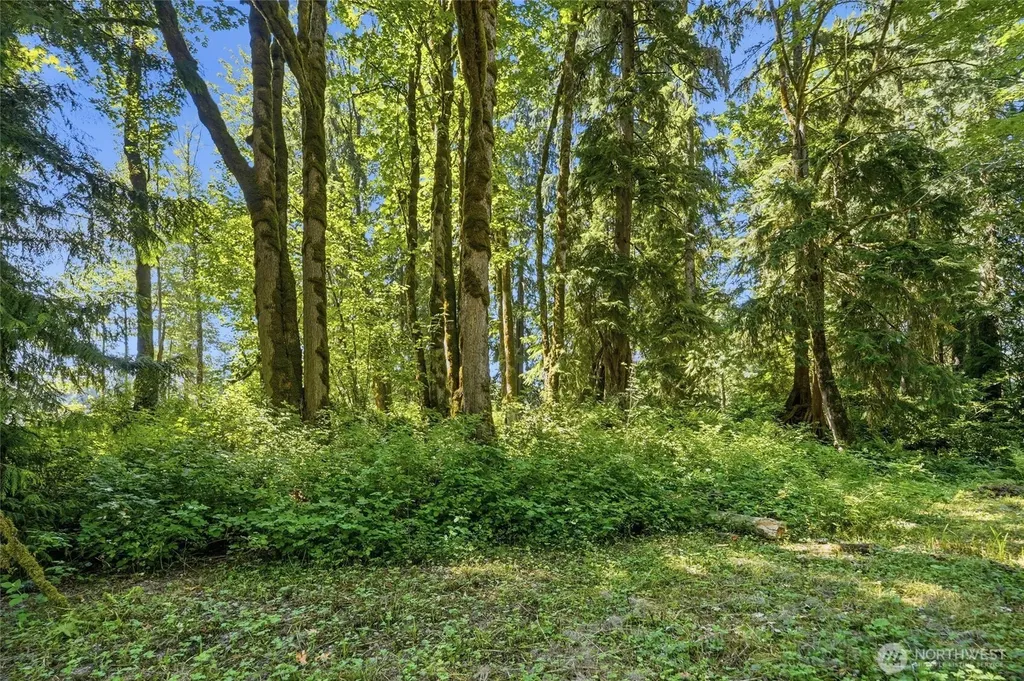 22932 N River Drive Granite Falls WA 98284