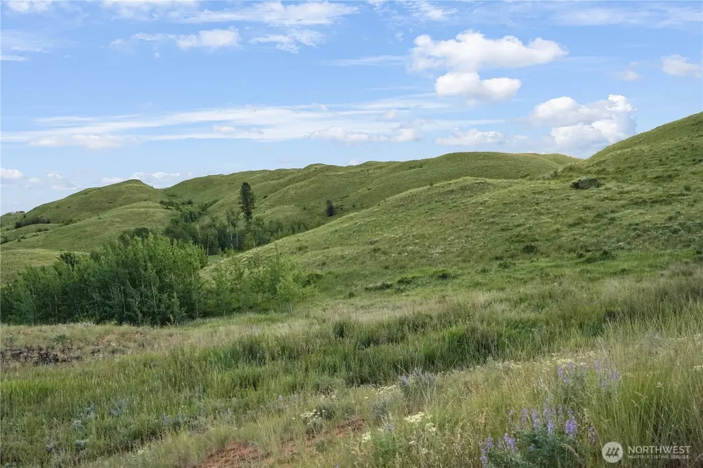 0 Hidden Hills Lane Tonasket WA 98855