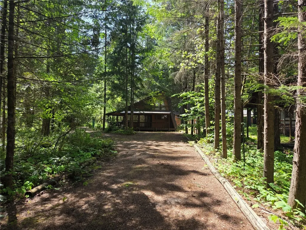 119 Shady Lane Packwood WA 98361