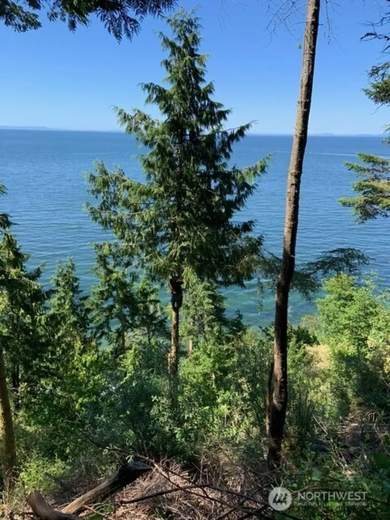 392 Buckloop Road Sequim WA 98382