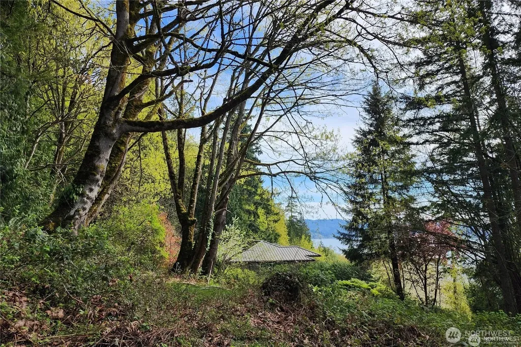 0 E Lake Sammamish Parkway NE Sammamish WA 98074