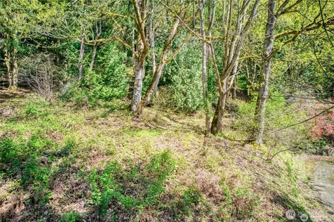 0 E Lake Sammamish Parkway NE Sammamish WA 98074