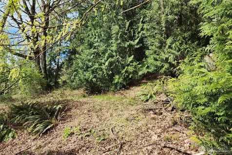 0 E Lake Sammamish Parkway NE Sammamish WA 98074