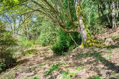 0 E Lake Sammamish Parkway NE Sammamish WA 98074