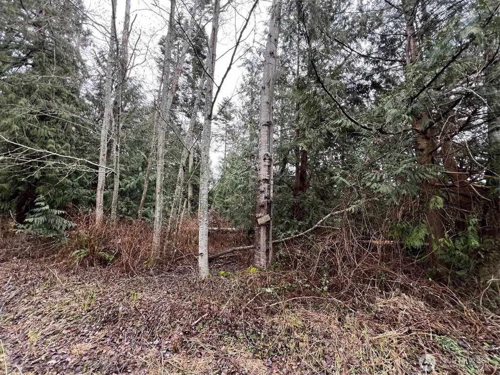 0 Rex Street Point Roberts WA 98281