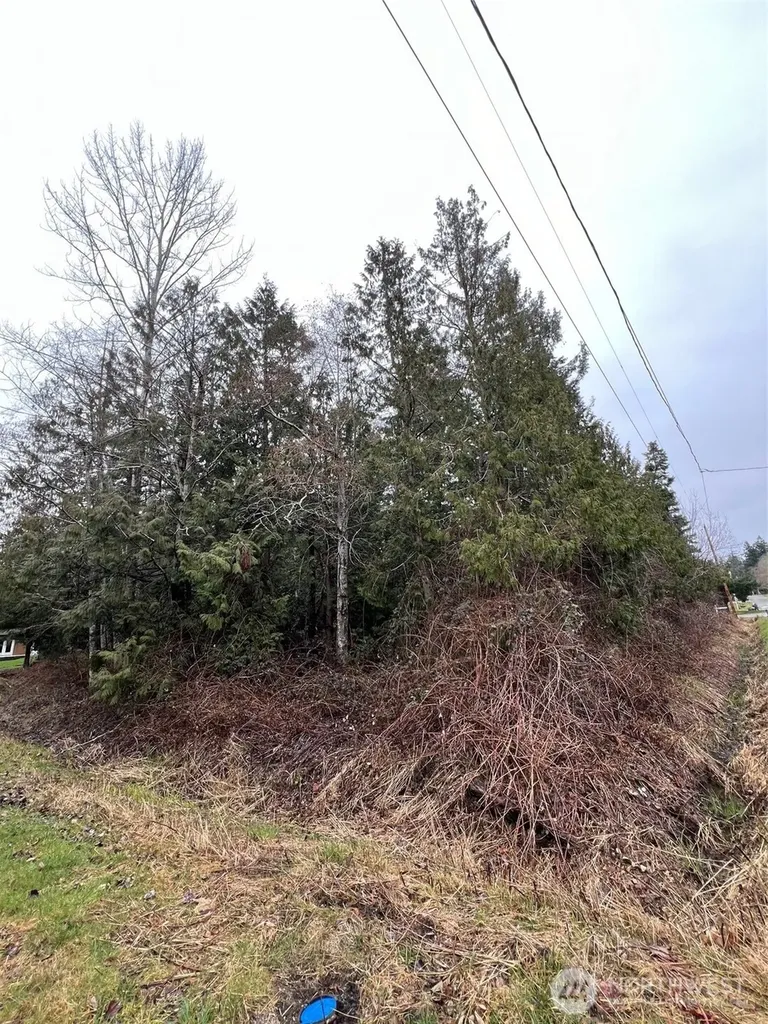 0 Rex Street Point Roberts WA 98281