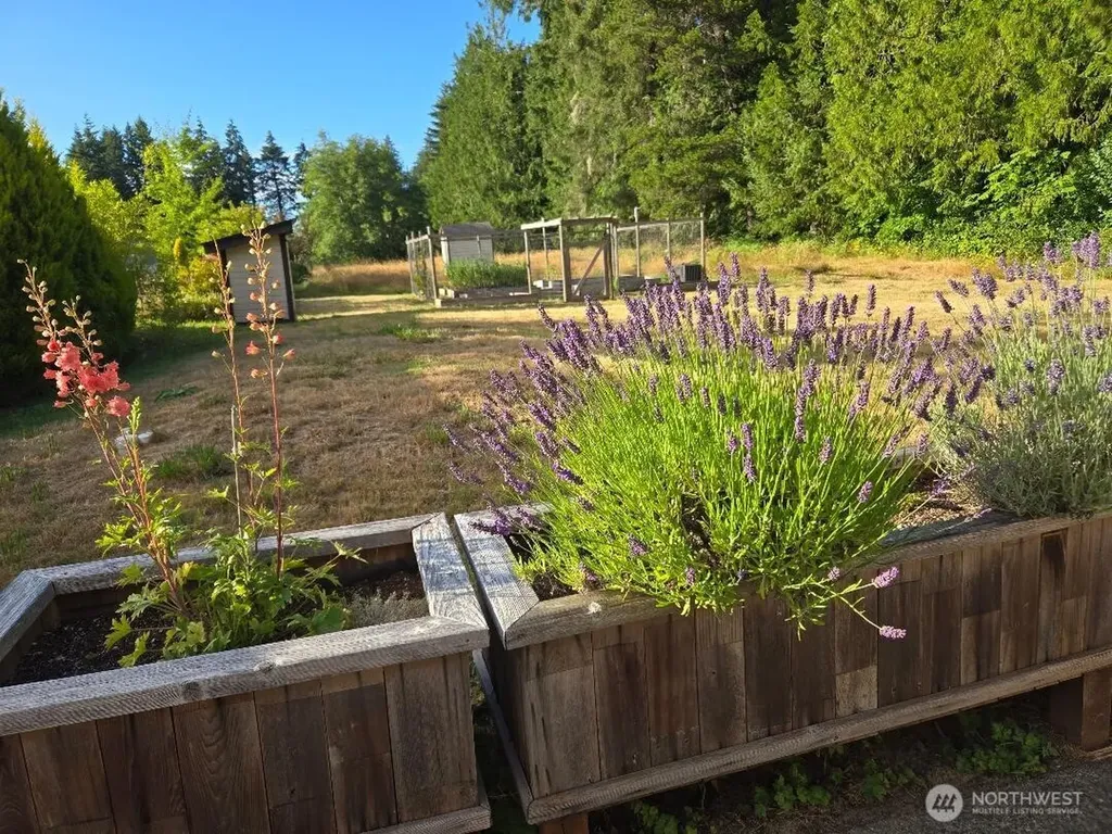 1302 33rd Avenue NE Olympia WA 98506