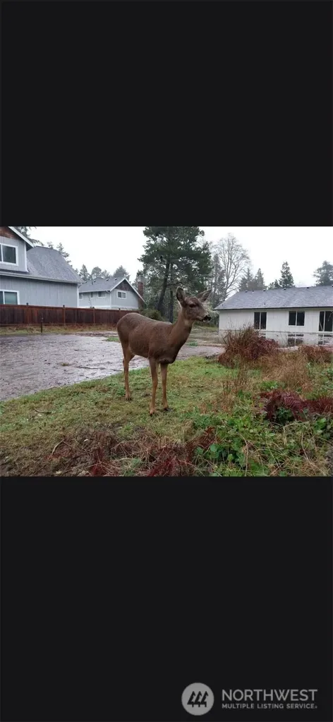 30506 N Place Ocean Park WA 98640