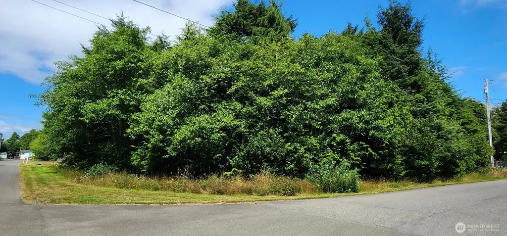 31 & 33 Paradise Lane Pacific Beach WA 98571