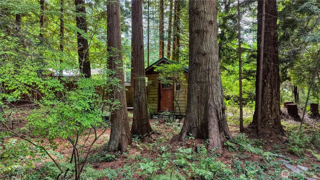 256 Windsor Drive Point Roberts WA 98281