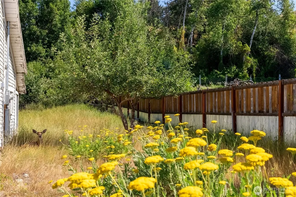 618 Filer Avenue Winthrop WA 98862