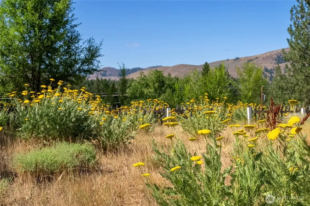 618 Filer Avenue Winthrop WA 98862