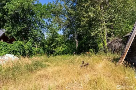 618 Filer Avenue Winthrop WA 98862