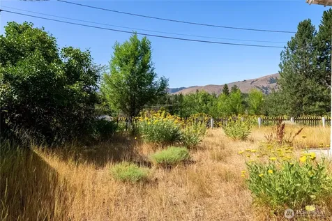 618 Filer Avenue Winthrop WA 98862