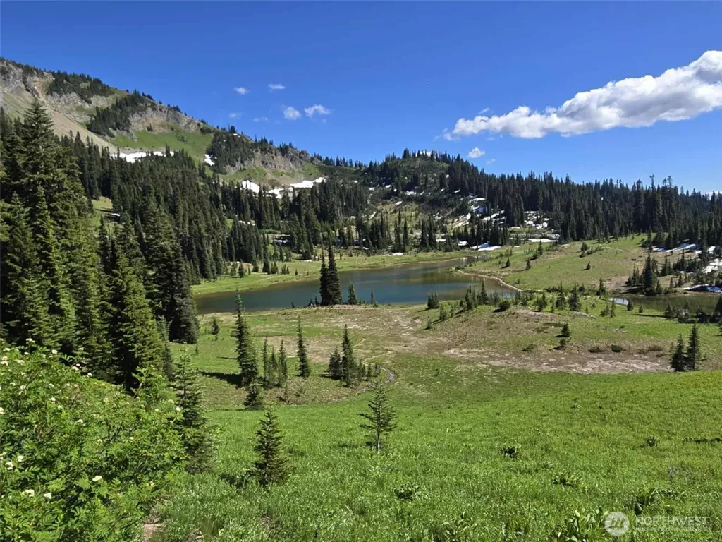 31008 Ski Club Lane Enumclaw WA 98022