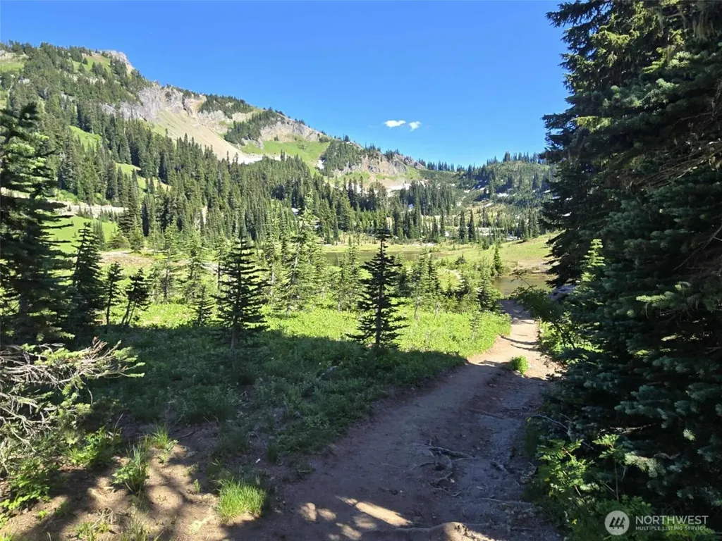 31008 Ski Club Lane Enumclaw WA 98022