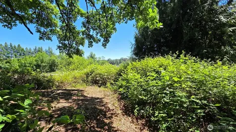 123 Mulford Street Toledo WA 98591