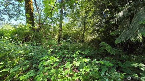 123 Mulford Street Toledo WA 98591