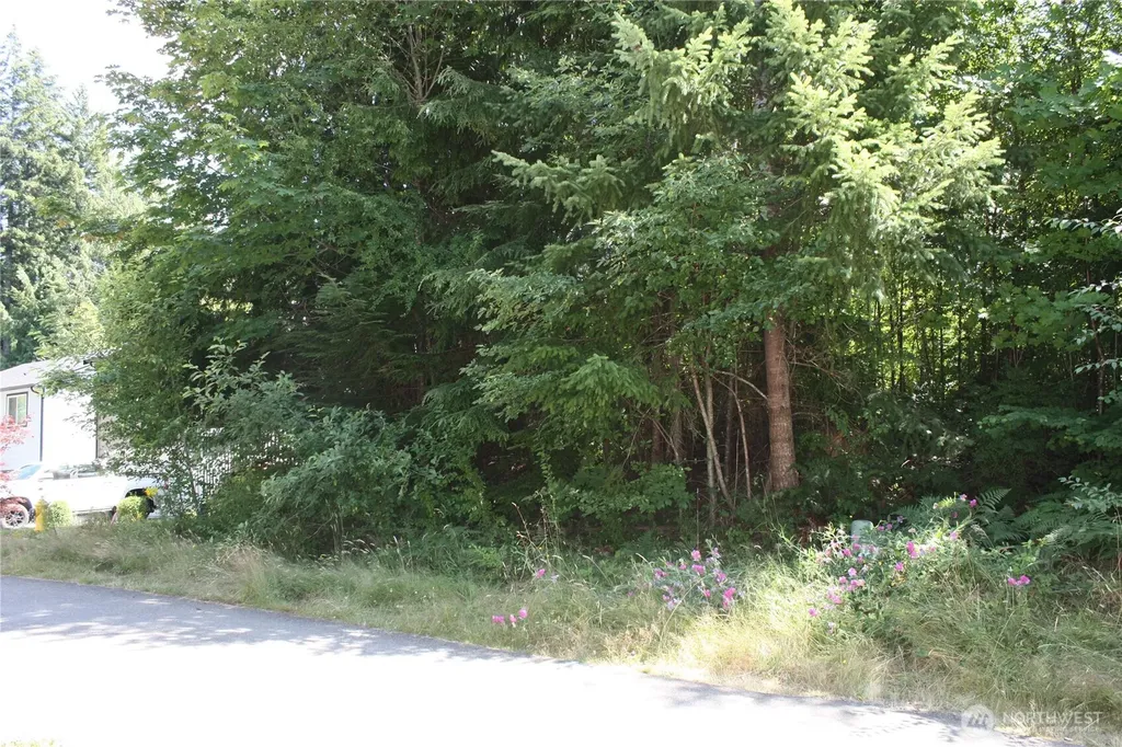 80 E Ellinor Peak Place Belfair WA 98528
