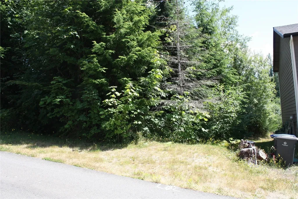 70 E Ellinor Peak Place Belfair WA 98528