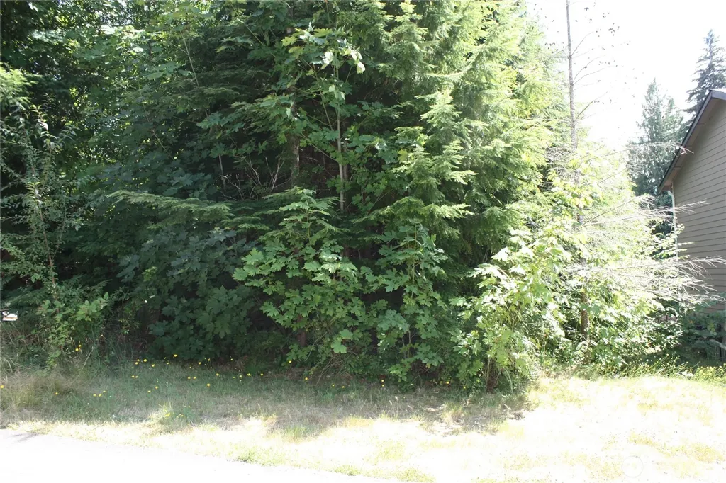 70 E Ellinor Peak Place Belfair WA 98528