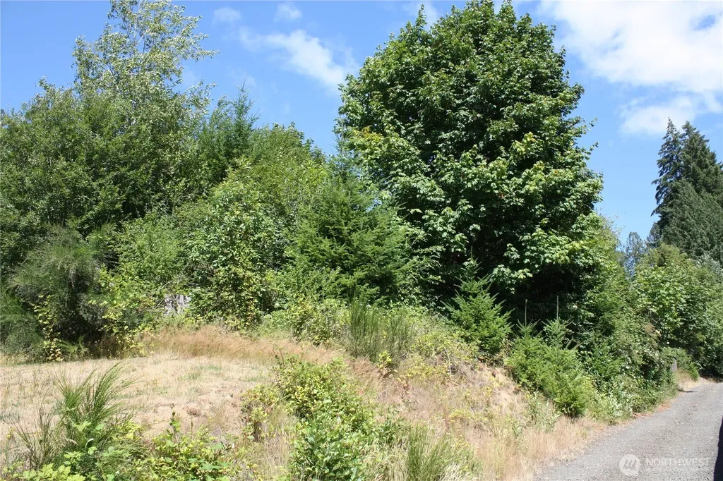 70 E Ellinor Peak Place Belfair WA 98528