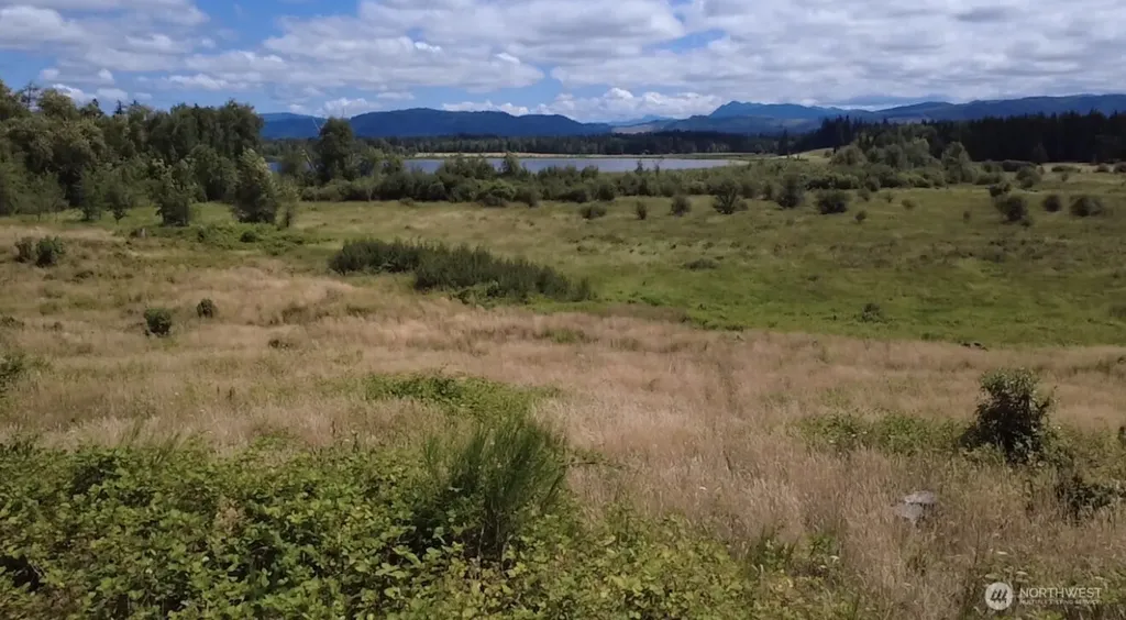 40317 Dean Kreger Road E Eatonville WA 98328