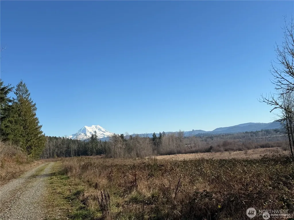 40317 Dean Kreger Road E Eatonville WA 98328