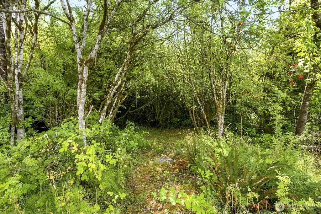 5544 Old Hwy 410 SW Olympia WA 98512