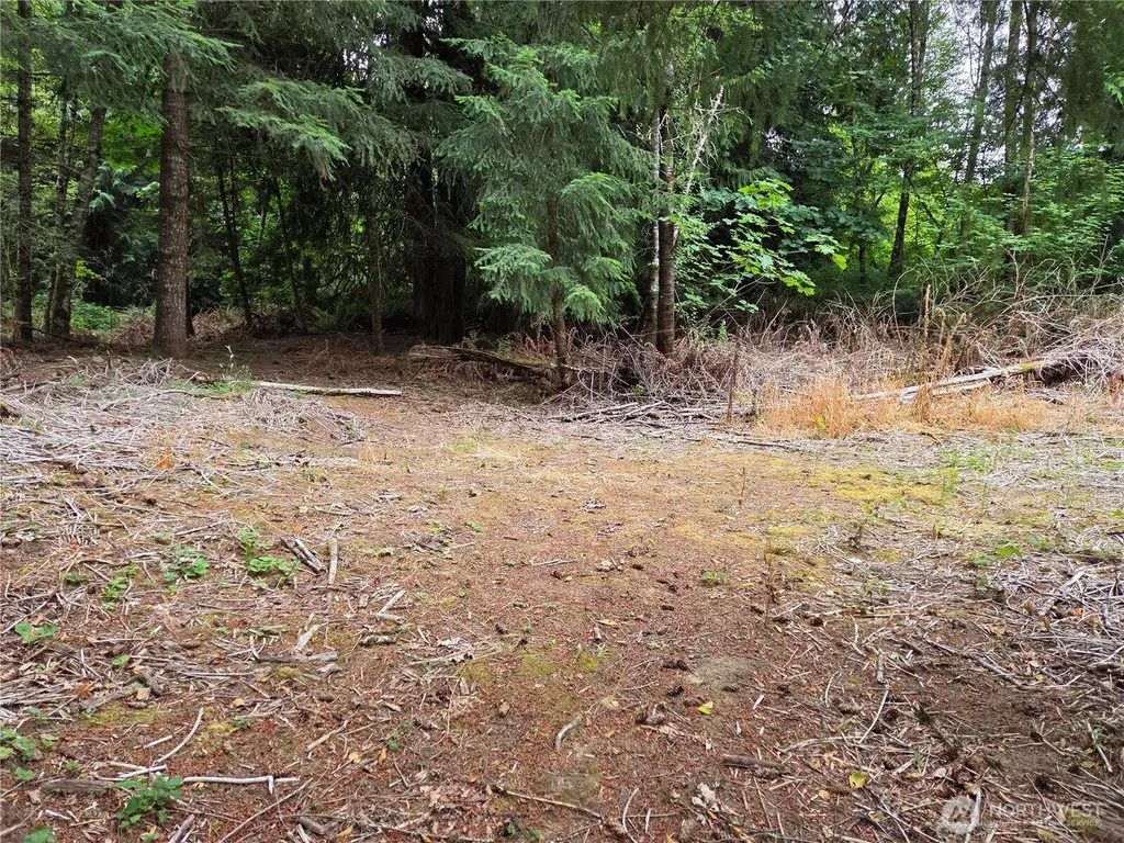 21024 Zenkner Valley Road SW Centralia WA 98531