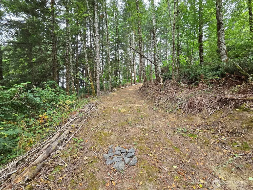 21024 Zenkner Valley Road SW Centralia WA 98531